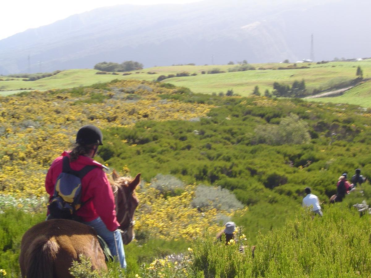 Relais Du Volcan La Plaine des Cafres Εξωτερικό φωτογραφία
