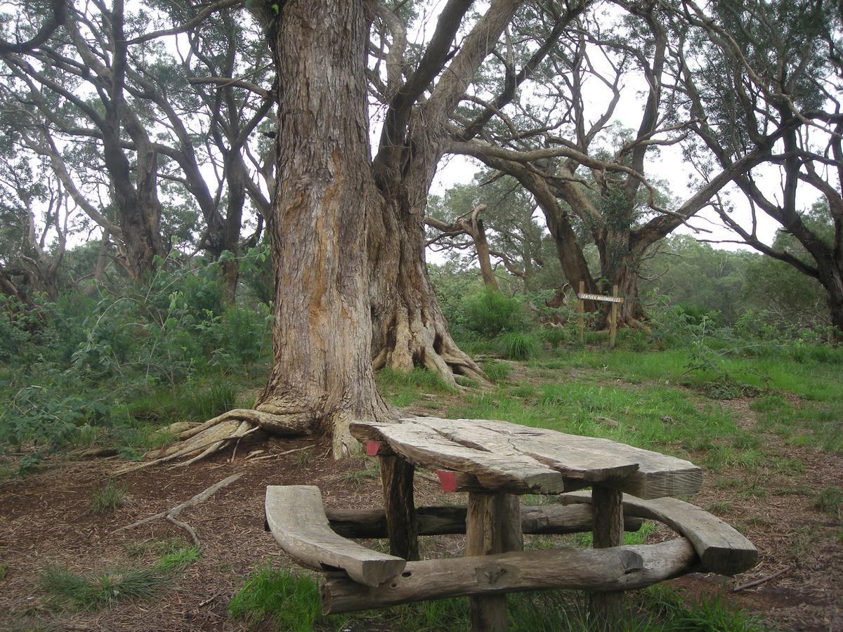 Relais Du Volcan La Plaine des Cafres Εξωτερικό φωτογραφία