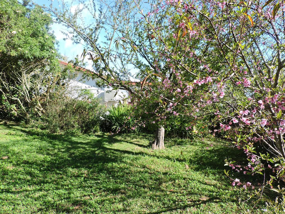 Relais Du Volcan La Plaine des Cafres Εξωτερικό φωτογραφία