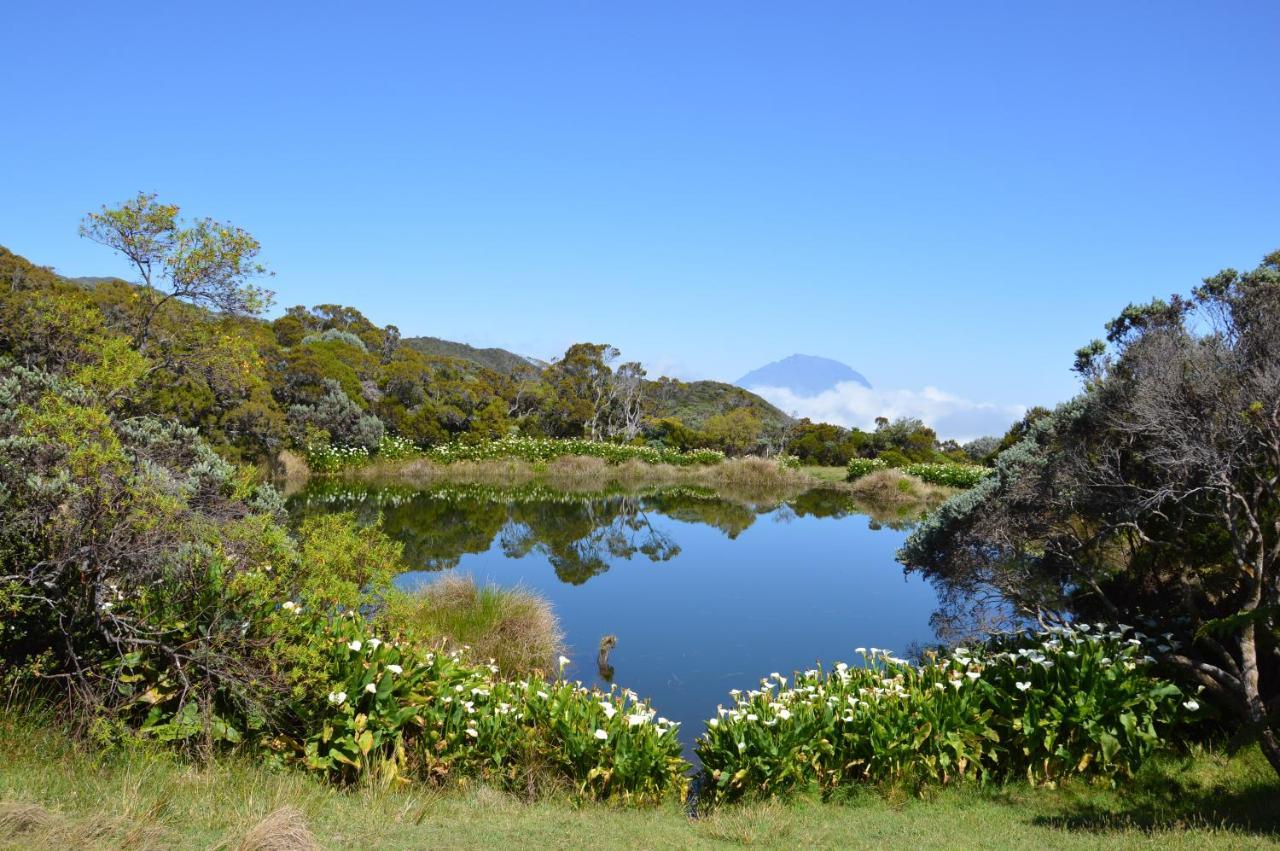 Relais Du Volcan La Plaine des Cafres Εξωτερικό φωτογραφία