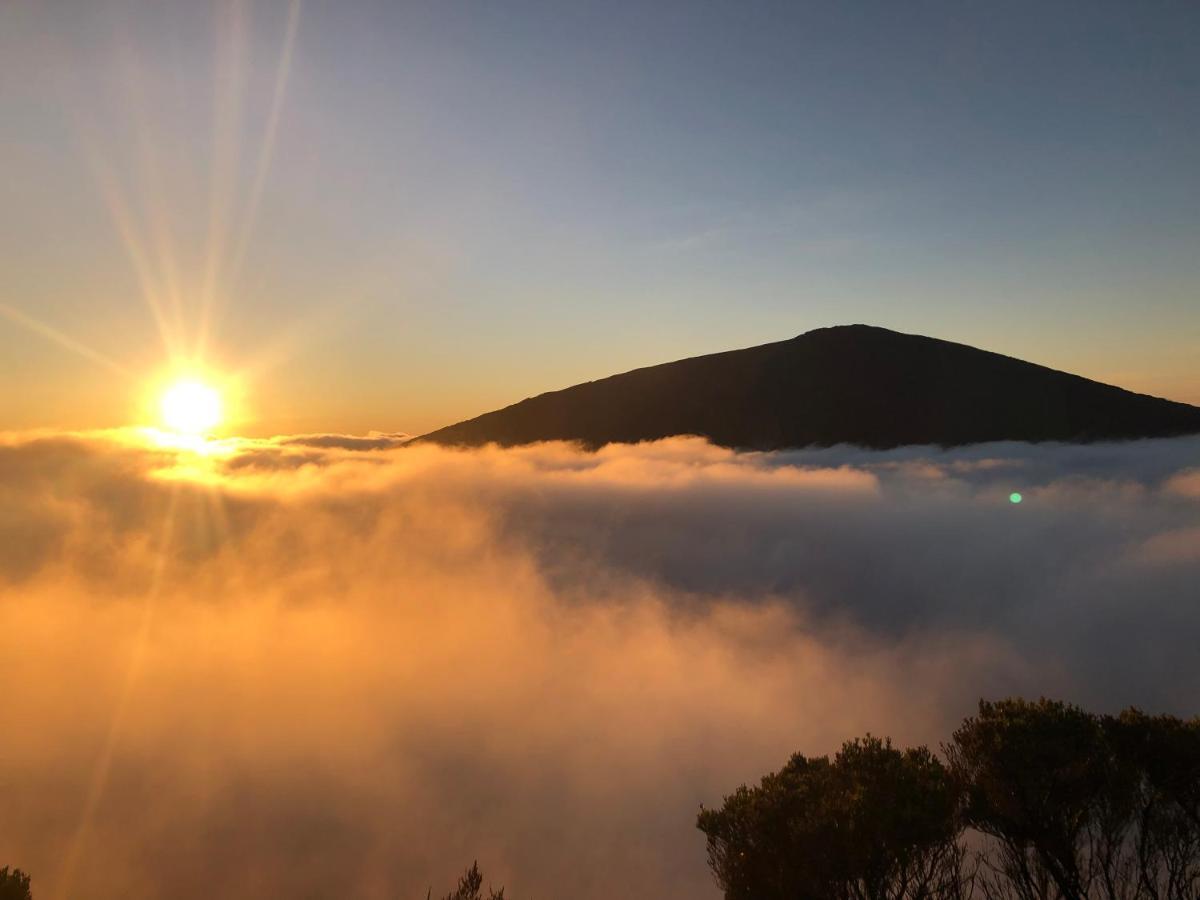 Relais Du Volcan La Plaine des Cafres Εξωτερικό φωτογραφία